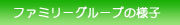t@~[O[v̗lq