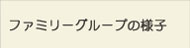 t@~[O[v̗lq
