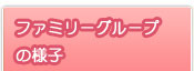 t@~[O[v̗lq